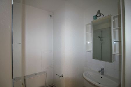 Location Appartement 1 pièce 19m² - Photo 3