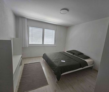 2.5 Zimmer, 56 m², 1. Stock - Photo 2
