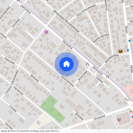 Bolszewo, Wejherowo, wejherowski, pomorskie