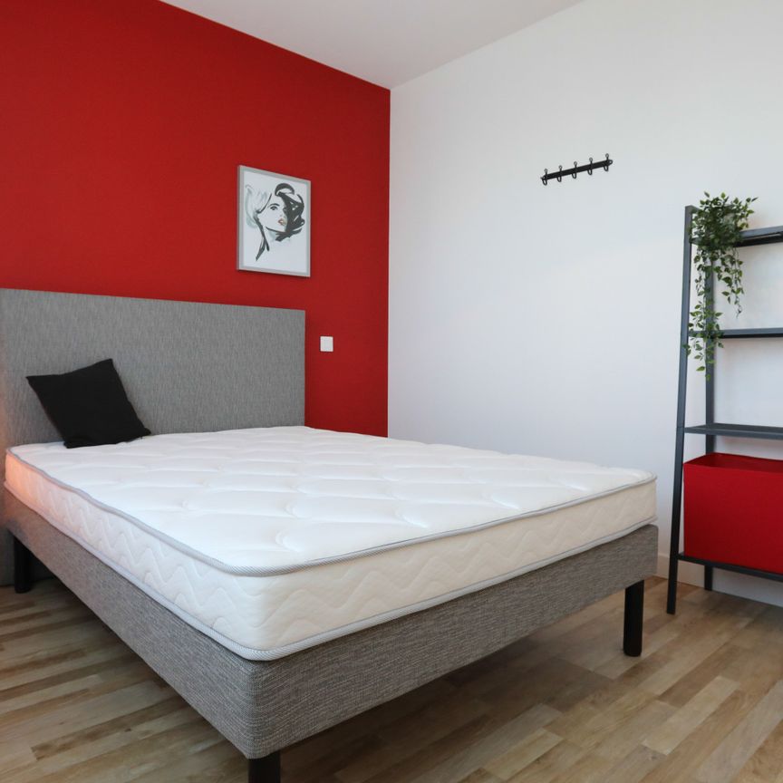 GRIFFOUL T Roommate 4 Bedrooms at Toulouse - Photo 1