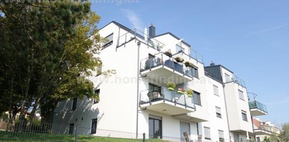 3-Zimmer-Neubauwohnung im Grünruhelage - 5 Jahre befristet - Foto 2