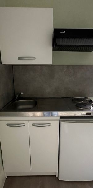 Location Appartement 1 pièce 20m² LIMOGES 87100 - Photo 1