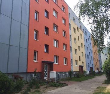 Schöne 2 Zimmer Wohnung in Waldnähe - Photo 1