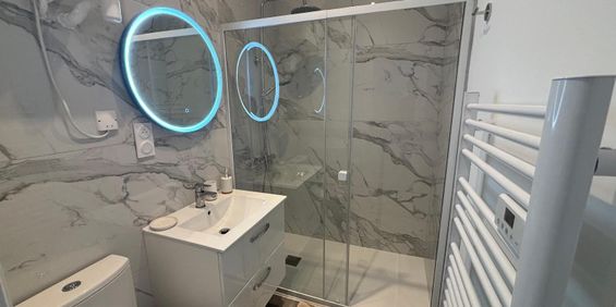 Location Appartement 1 pièce 14m² CLERMONT FERRAND 63000 - Photo 3