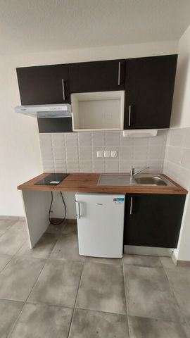 Location Appartement 2 pièces 41m² FONSORBES 31470 - Photo 3