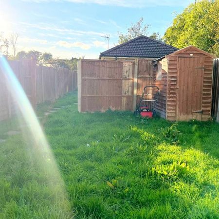 1 bedroom in a house share to rent - Photo 4