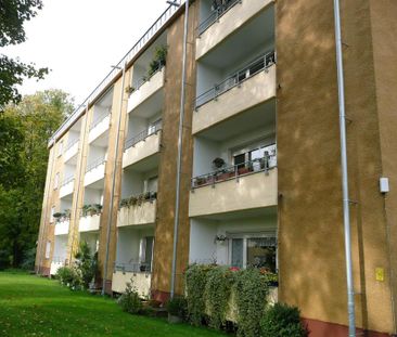 Helle, freundliche 1-Zimmer-Wohnung, Ruhiglage BN-Oberkassel - Foto 1