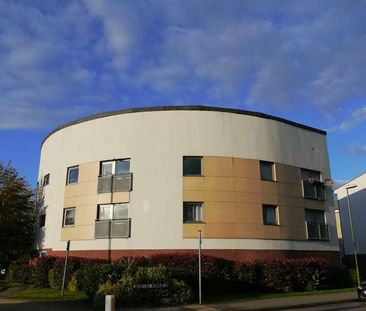 Spectre Court, Hatfield, AL10 - Photo 5