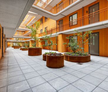 Appartement te huur: Freddie Oversteegenstraat 447 2033 MV Haarlem - Photo 6