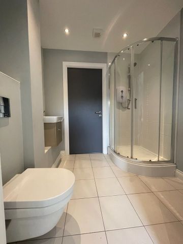 1 Bed Flat, Cuthbert Bank Road, S6 - Photo 4