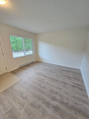 Brand New Unit in Chilliwack - Photo 1