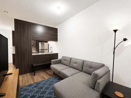 7225 Rue Durocher - Photo 5