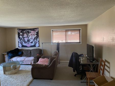 1 bed – 1 bath Apartment - Photo 3