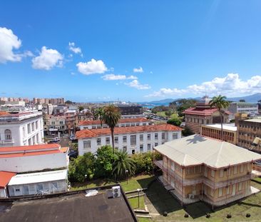 Location appartement 2 pièces, 55.18m², Fort-de-France - Photo 6