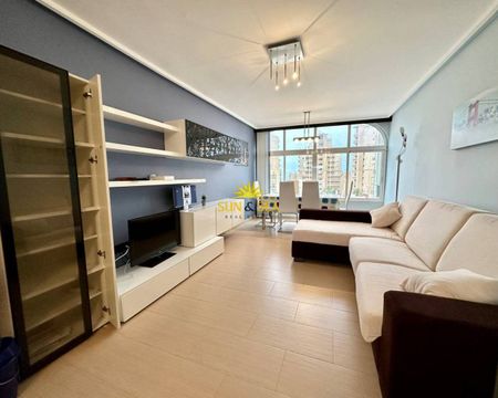 RENOVATED STUDIO FOR RENT IN TORREVIEJA - ALICANTE PROVINCE - Photo 2