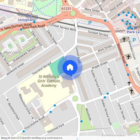 CRESSWELL COURT, ASHBROOKE, SUNDERLAND SOUTH, SR2