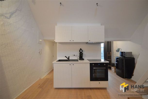 Gezellige duplex-flat met terras - Photo 1