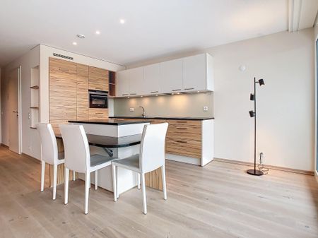 Superbe studio meublé et équipé avec terrasse vue lac et Alpes - Photo 5