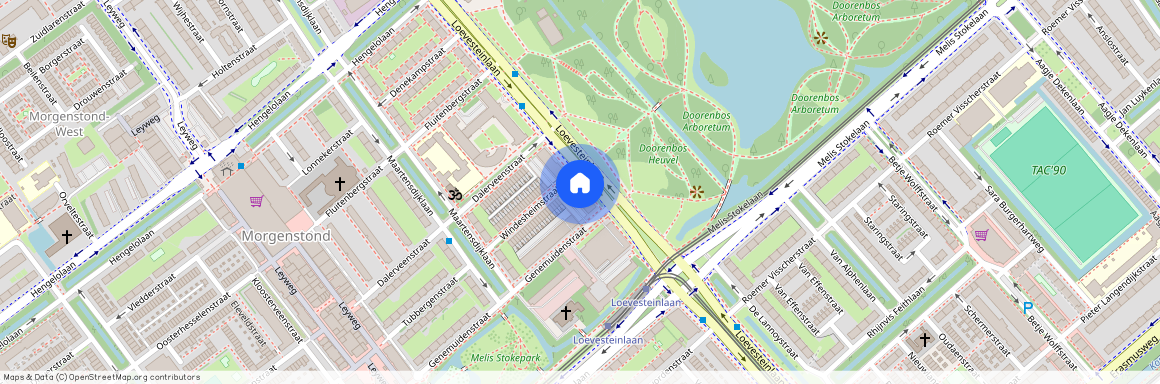 Loevesteinlaan 401 C, 2533 AM, 's-Gravenhage