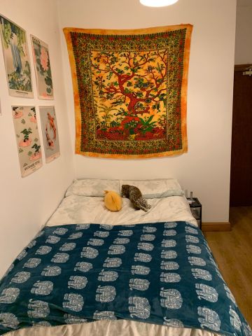 6 Bed End Terrace, Brailsford Road, M14 - Photo 4