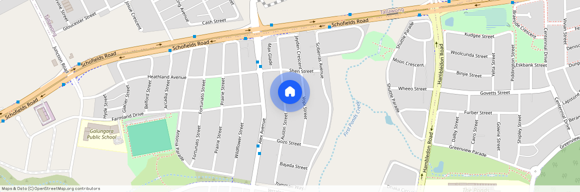 15 Austin Street, NSW 2762, Schofields