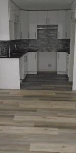 3 ½ rue Drapeau Montréal RÉNOVÉ LIBRE - Photo 4