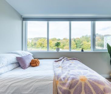 Studio to rent - Photo 4