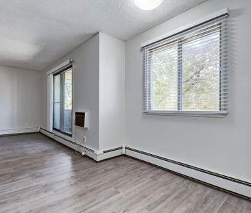 2 Bedroom - Photo 2