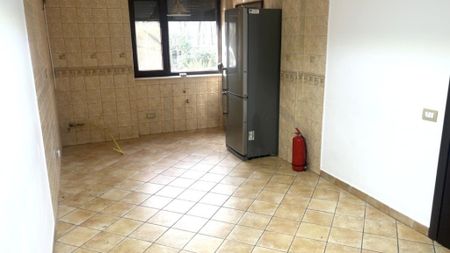 Vila 6 camere Iancu Nicolae - Fotografie 2