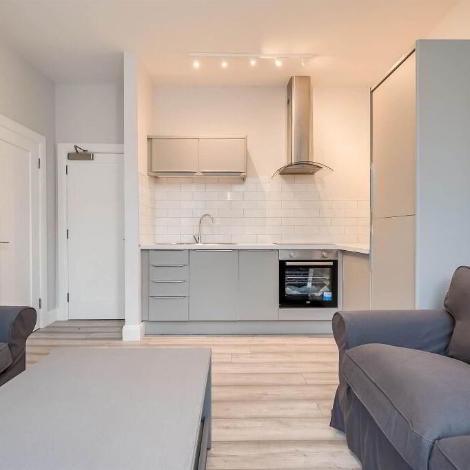 Apt 5, 35 Wellington Park, Belfast, BT9 6DN - Photo 1