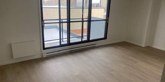 1 CH - 1 SDB - Longueuil - $1,450 /mo - Photo 3