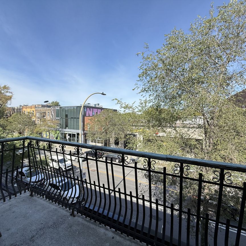 4542 Avenue Papineau - Photo 1