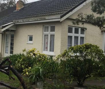 Close to Kuripuni - Photo 5