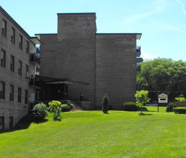 Quiet Renovated Building close to TTC, Bloor West Village - Photo 4