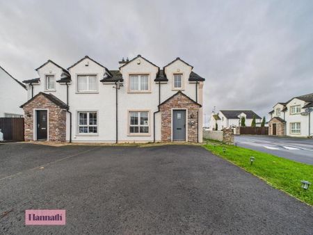 2 Birchwood Manor, Portadown, BT62 1LD - Photo 3