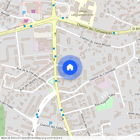 ALPES-MARITIMES (06), - PROVENCE-ALPES-COTE-D-AZUR, LE CANNET (06110)