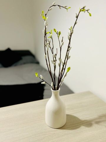 5 Bed Terraced House, Rose Green, BS5 - Photo 2