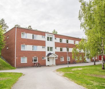 Ankarskatavägen 91 B, 94134, Piteå - Foto 4