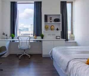 Standard Studio - Photo 4