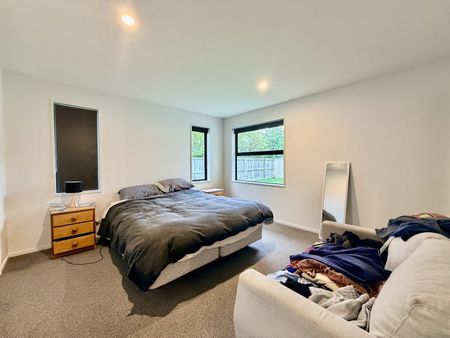 17 Willetts Way, Rolleston - Photo 3