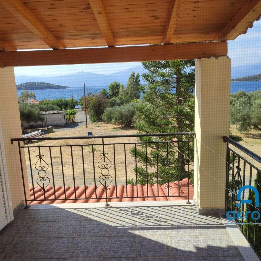 Μεζονέτα για ενοικίαση Παραλία Τολοφώνας (Τολοφώνα) - Φωτογραφία 1