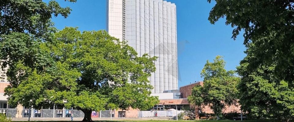 !! CITY-Wohnen !! Praktische Single-Wohnung mit Tageslichtbad - Foto 1