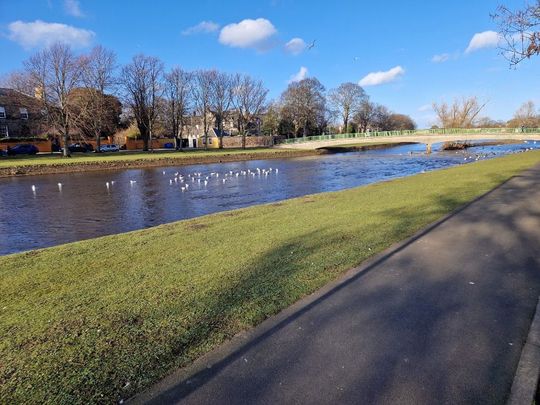 High Street, Musselburgh ,East Lothian EH21 - Photo 1