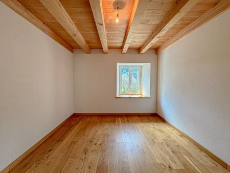 In the countryside 6.5-room duplex with garden terrace and garages - Foto 4