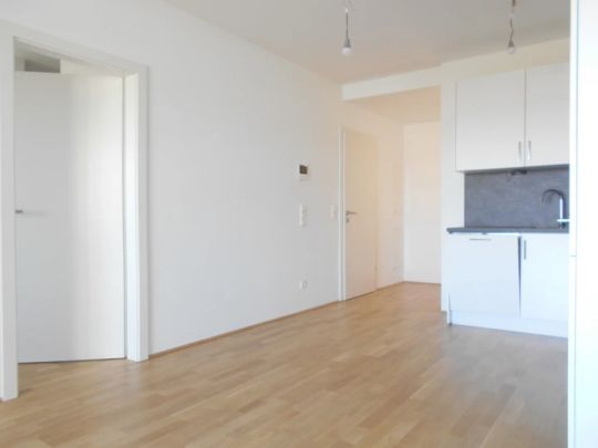 Q5 am PARK großartiger Ausblick 2ZI mit 12m² Ost/ Balkon - Photo 1