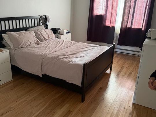 8284 Boul. Lacordaire - Photo 1