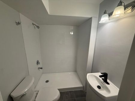 For Lease - 55 Purdy Crescent Unit# Basement, Toronto, Ontario - Photo 4