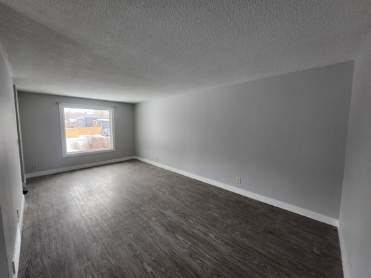 Newly Renovated Main Floor! Oversized Detached Garage Included! - Photo 1