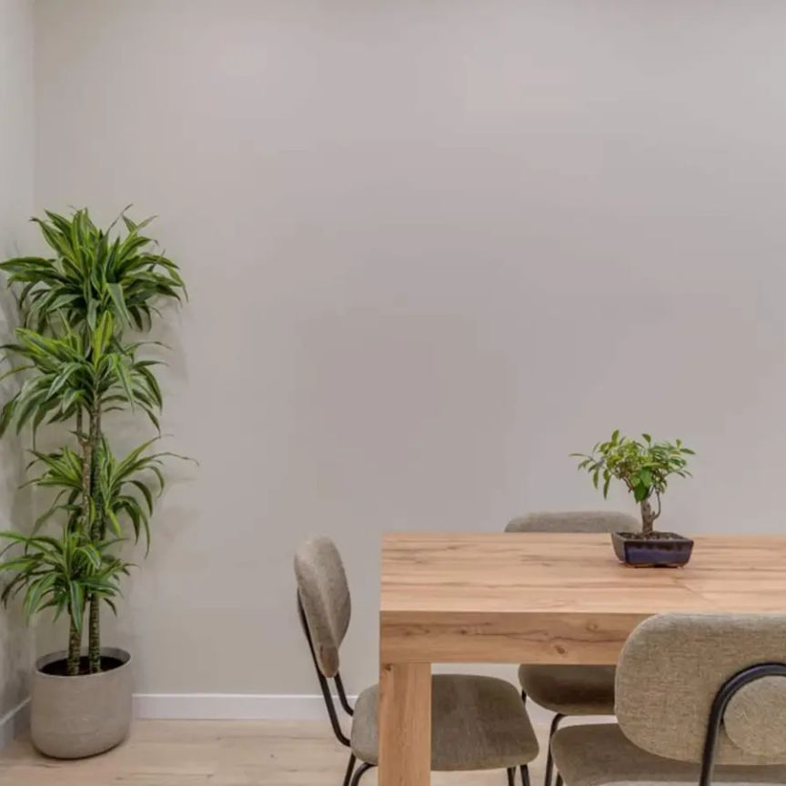 1-bedroom apartment for rent in El Poblenou, all bills included, no pets, non-smoking - Photo 1