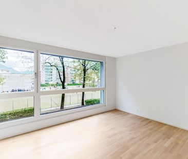 Moderno e luminoso 2.5 locali - Foto 3